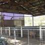 Calmsley Hill City Farm