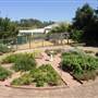 Calmsley Hill City Farm