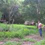 Falls Forest Retreat