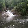 Falls Forest Retreat