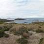 Point Stephens/Fingal Island / Fingal Point /Tomaree National Park