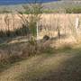 Morton National Park