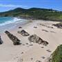 Forster and surrounds
