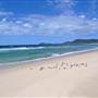 Forster and surrounds
