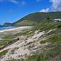Forster and surrounds