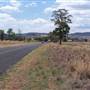 Gilgandra Rural Area