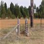Gilgandra Aerodrome