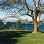 Goat Island