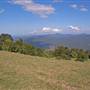 Griffiths Lookout, Dorrigo