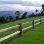 Griffiths Lookout, Dorrigo