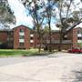 Hamilton South - Newcastle