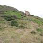 Hill 60, Port Kembla & Sydney Water Plant