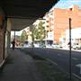 Parramatta Road - Homebush