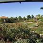 Hunter Valley Gardens