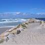 Iluka