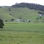 Jamberoo - Swamp & Jamberoo Roads