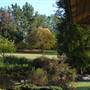 Japanese Gardens Cowra