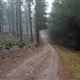 Jenolan State Forest