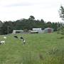 Kangaloon