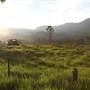 Kangaroo Valley Vistas