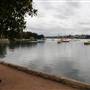 King George Park and Rozelle Foreshore
