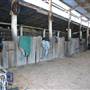 John Scott Kundabung Rodeo Grounds / Stables