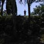 Lake Macquarie
