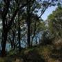 Lake Macquarie