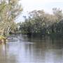 Leeton Shire