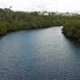 Lane Cove River