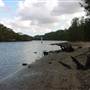 Lane Cove River