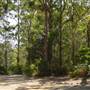 Lane Cove National Park