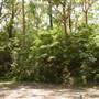 Lane Cove National Park