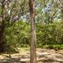 Lane Cove National Park