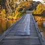 Narooma