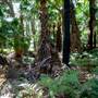 Munmorah State Conservation Area