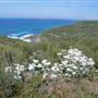 Munmorah State Conservation Area