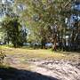 Myall Lakes National Park
