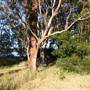 Myall Lakes National Park