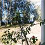 Myall Lakes National Park