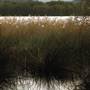 Myall Lakes National Park