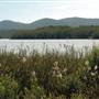 Myall Lakes National Park