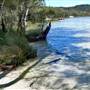 Myall Lakes National Park
