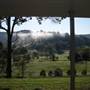 Yarramalong Homesteads