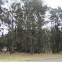 Newington Armory - Sydney Olympic Park
