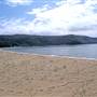 Patonga