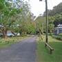 Patonga