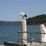 Patonga