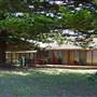 Patonga