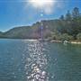 Patonga